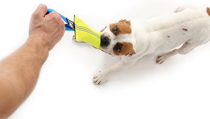 Dog Bite Tug Toy 10 inches - Durable, Interactive Toys for Medium to Large Dogs - Perfect for Tug of War, Fetch & Puppy Training - Safe Fire Hose Dog Tug with Strong Handle - Tough Floating Pull Toy