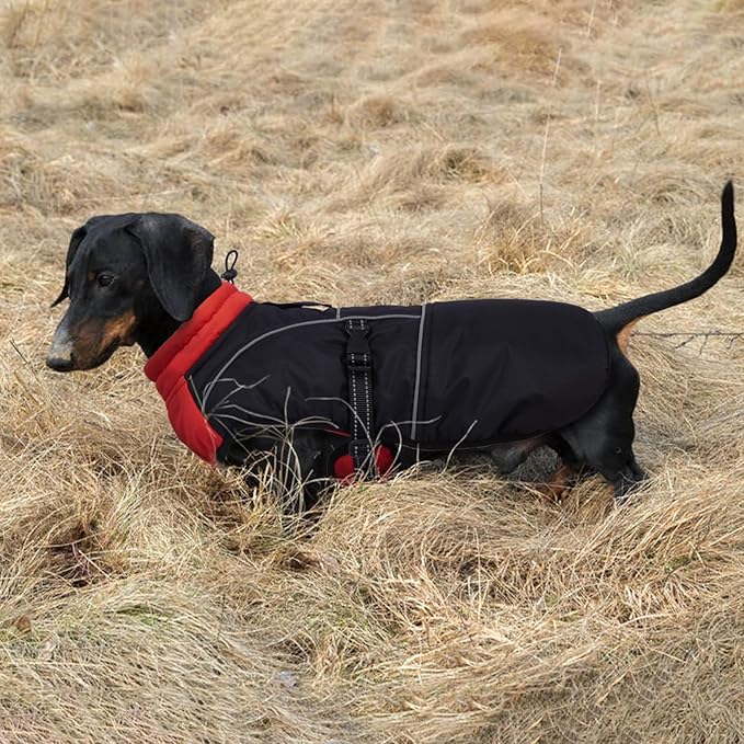 Lelepet Dachshund Coat Warm Dog Winter Coat Waterproof Dog Jacket with Fleece Lining, Reflective Outdoor Dachshund Snowsuit with Leash Hole Adjustable Neckline,Coats for Small Medium Dogs,Red, L