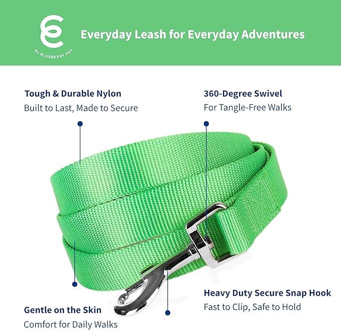 Blueberry Pet Essentials Neon Green Dog Leash for Small -5' * 5/8" Dogs | Heavy Duty Nylon Lead | Lightweight Puppy & Cat Leash for Walking & Training