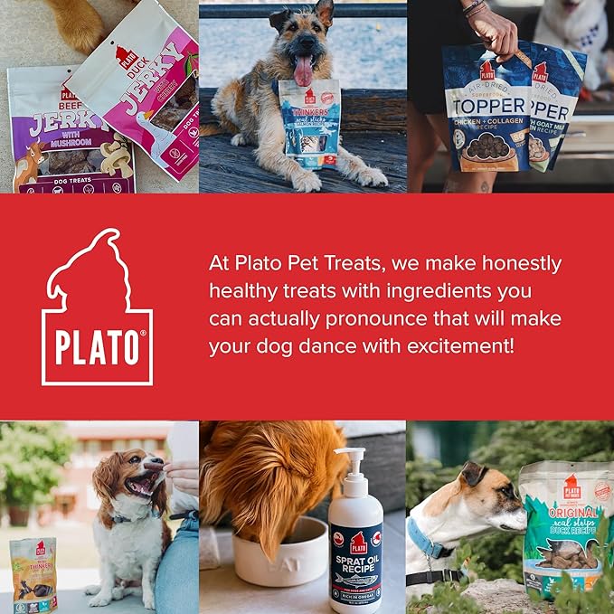 PLATO Pet Treats Jerky Dog Treats - Air-Dried Beef Jerky with Mushroom - Grain Free, High Protein - 16oz