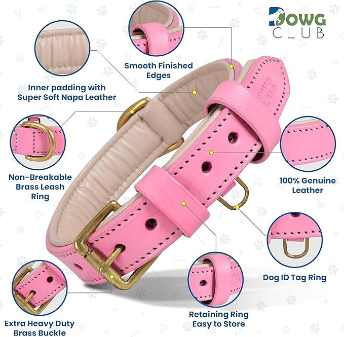 Leather Dog Collar for Extra Large Dogs, Light Pink, 1.5 Inch Wide, Genuine Leather, Heavy Duty with Soft Inner Padding, Comfortable and Durable(Blush Pink, XL (Fit Neck Size 22"-26"))
