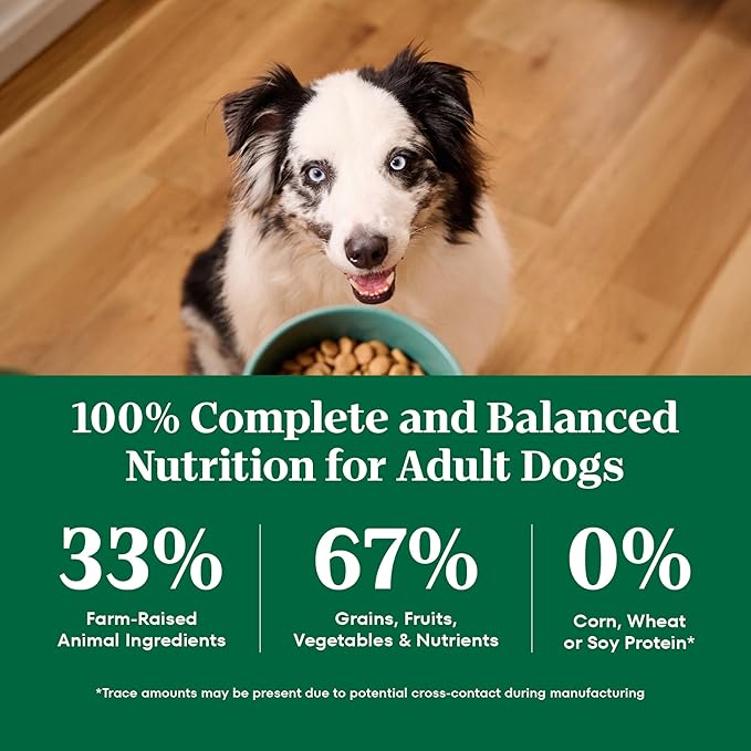 Nutro Natural Choice Lamb & Brown Rice Adult Large Breed Dog Food Dry Recipe, 36 lb. Bag