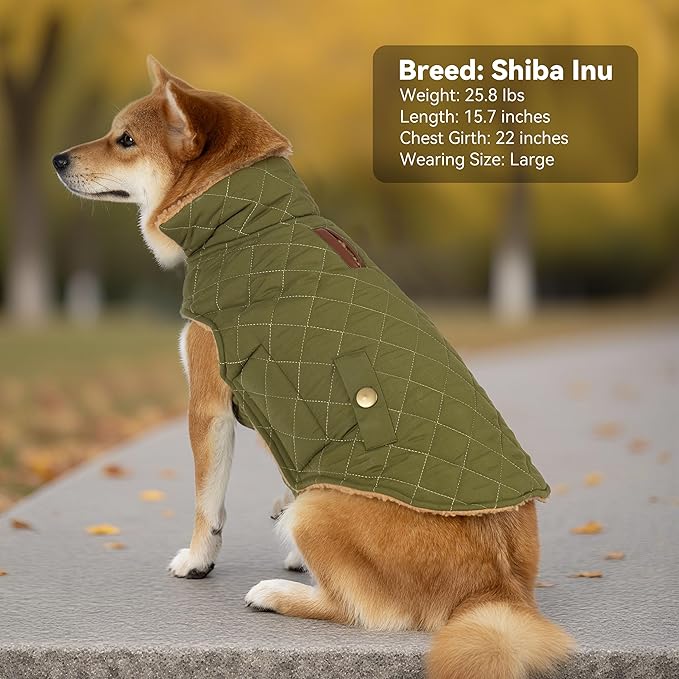 Dog Coat, Warm Soft Dog Winter Coats for Small Dogs, Waterproof Windproof Dogs Adjustable Jacket with Fleece Lined Turtleneck Doggy Snowsuit with Leash Hole, Green Large