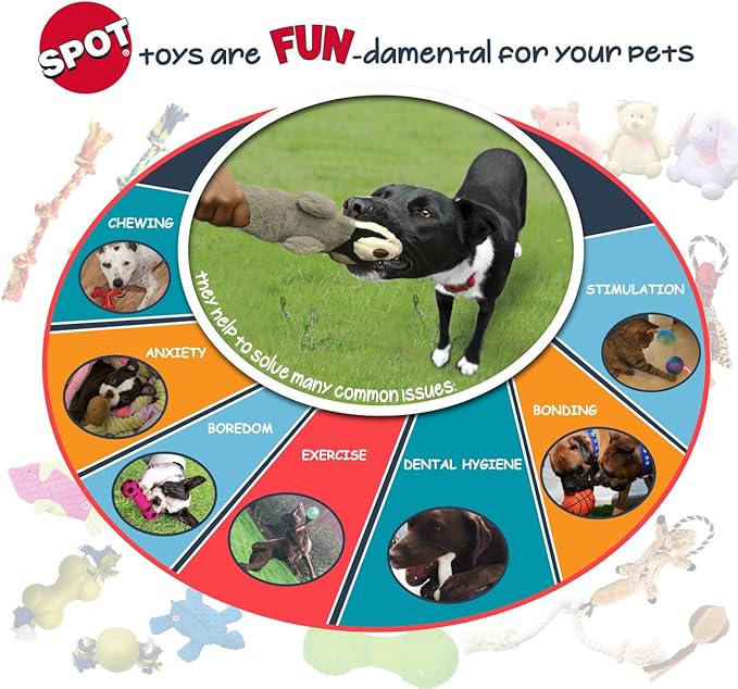 SPOT Skinneeez Flat Cat 11.5 Inch Stuffing-Free Plush Squeaky Dog Toy – Soft Interactive Toy for Mini and Small Dogs – Mess-Free Play for Light Chewers – Assorted Styles