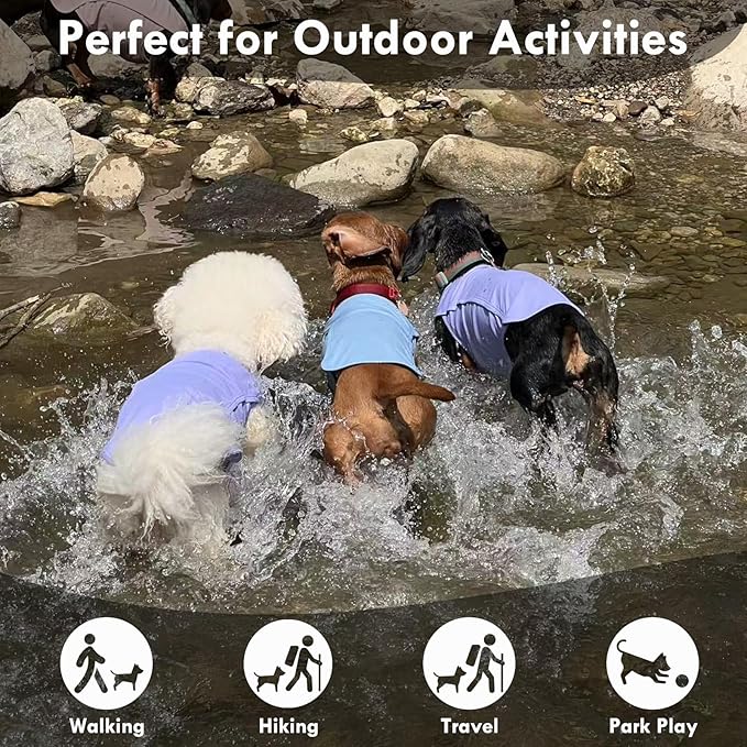 2 Pack Dog Shirt, Quick Dry Cooling Tshirts for Dogs Large, Breathable Durable UPF50+ Summer Clothes, Lightweight Prevent Overheating Vest, Purple+Pink, 3XL
