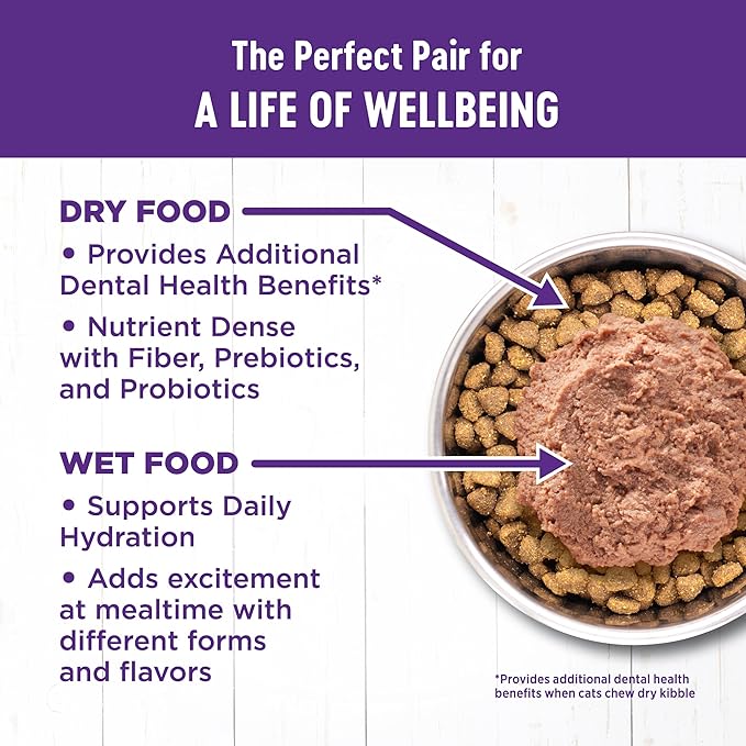 Wellness Complete Health Adult Dry Cat Food for Indoor Cats, Grain Free, Natural, Salmon and Herring Meal (5.5 Pound Bag)