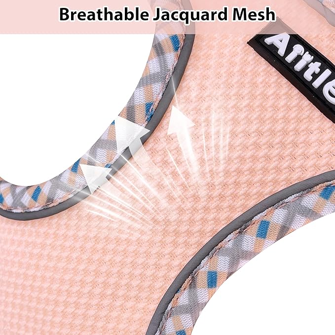 AIITLE Teacup Puppy Harness with Leash - Adjustable Soft Vest with Magic Tape & Reflective Safety Strips, Easy-Put-On for Poodles, Pomeranians - Gym, Hiking, Travel (Turquoise-Pink, S)