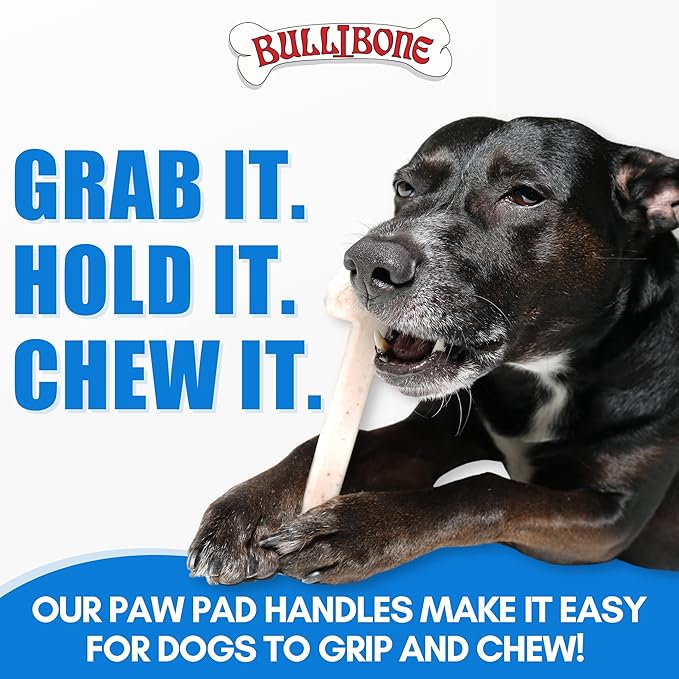 Bullibone Nylon Dog Chew Toy Nylon Bone - Improves Dental Hygiene, Easy to Grip Bottom, and Permeated with Flavor (Peanut Butter, Large - Single)