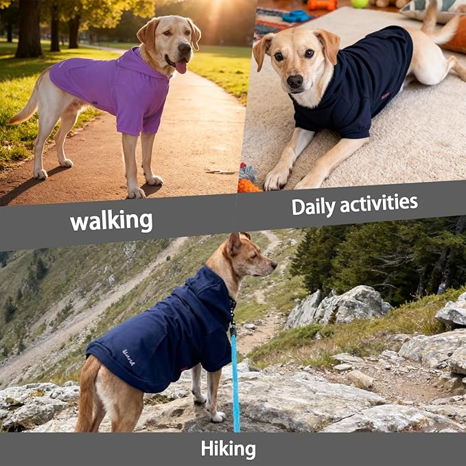 Basic Dog Hoodie Sweatshirts, Pet Clothes Hoodies Sweater with Hat and Leash Hole, Soft Cotton Outfit Coat for Large Medium Small Dogs, Dark Grey (Medium)