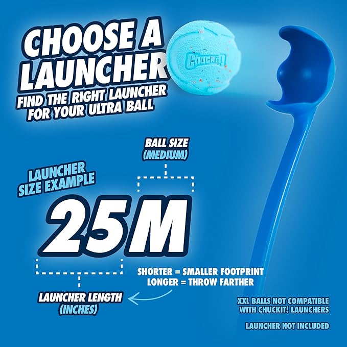Chuckit! Rebounce Ball Dog Toy - Bouncy Fetch Balls for Dogs 20-60 lbs - Made from Durable Rubber - Outdoor Pet Toys - Size Medium - 2.5-inch Diameter - Pack of 2 - Blue