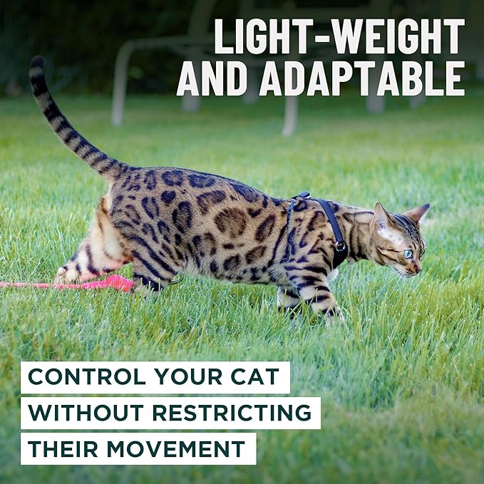 Houdini™ Escape Proof Kitten Harness and Leash Set by OutdoorBengal – Black, Small Cat Harness for Walking