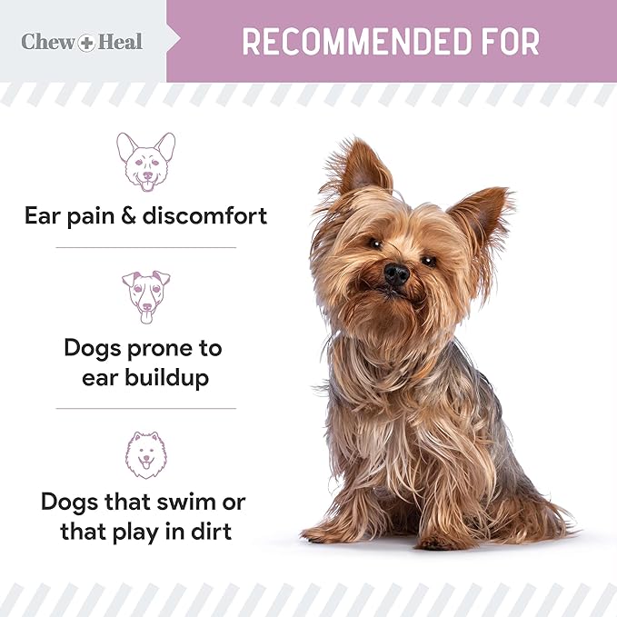 Chew + Heal Labs Dog Ear Cleaner - OTIC Medicated Dog Ear Buildup Drops for Dirt and Wax - 12 oz Advanced Flush with Chlorohexidine and Ketoconazole - Made in The USA