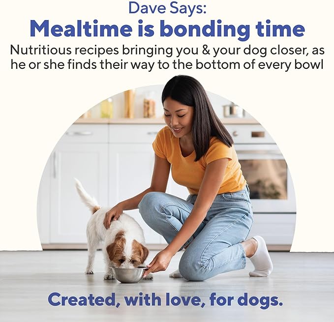 Dave's Pet Food Stewlicoius Grain Free Wet Dog Food (Turkey & Sweet Potato in Gravy), Made in USA Naturally Healthy Canned, Gluten Free Topper, 13.2 oz (12 Pack)