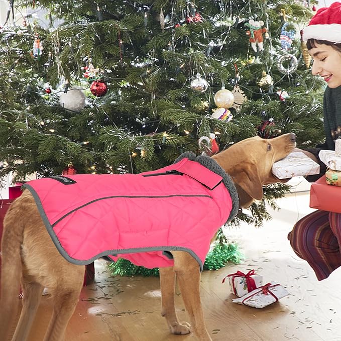 Fragralley Dog Coat Large, Waterproof Dog Jacket with Warm Fleece Lining, Adjustable Reflective Dogs Winter Coat, Turtleneck Pet Coats for Cold Weather (Pink XL)