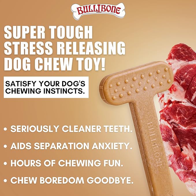 Bullibone Nylon Dog Chew Toy Nylon Bone - Improves Dental Hygiene, Easy to Grip Bottom, and Permeated with Flavor (Beef, XL - Single)