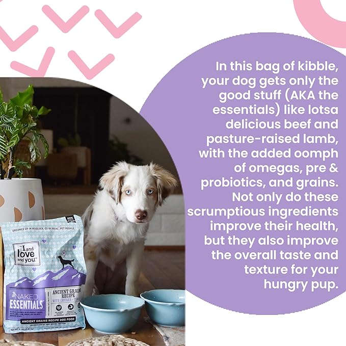 I and love and you Naked Essentials Ancient Grains Dry Dog Food - Chicken + Turkey - High Protein, Real Meat, No Fillers, 4lb Bag
