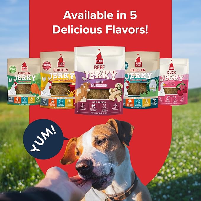 PLATO Pet Treats Jerky Dog Treats - Air-Dried Beef Jerky with Mushroom - Grain Free, High Protein - 16oz