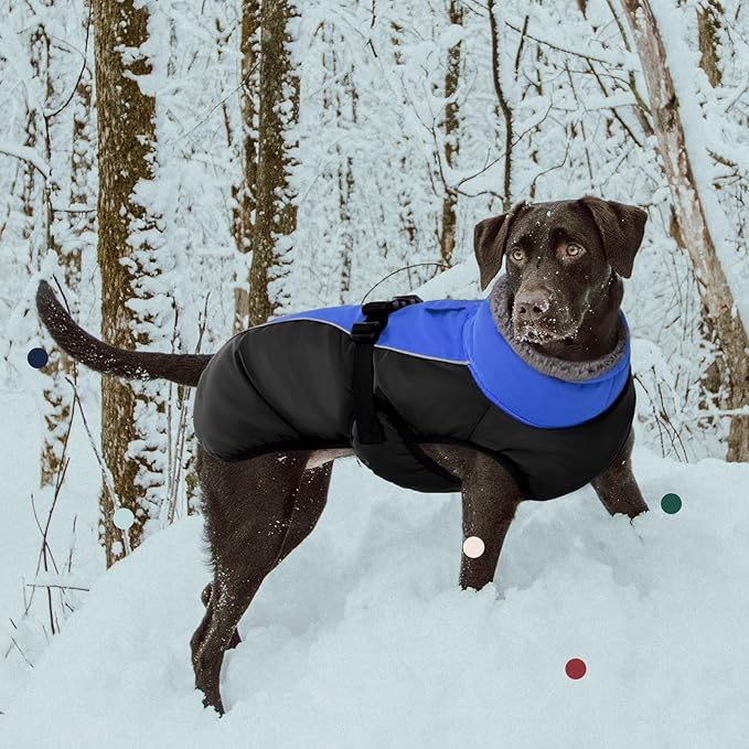 IECOii Extra Warm Dog Coat with Reflective Adjustable Buckle Fleece Turtleneck for Small to Extra Large Dogs in Cold Weather