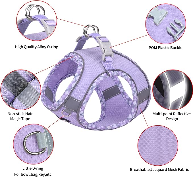 AIITLE XXS Dog Harness & Leash Set - Breathable Reflective No-Choke Small Dog Harness for Teacup Puppies, Indoor/Outdoor Use - Boston Terrier, Maltese, Chihuahua (Purple, XXS)