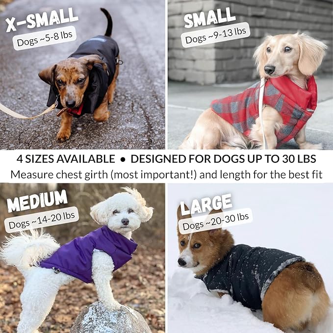DJANGO Reversible Puffer Dog Coat – Warm Winter Dog Jacket & Water-Repellent Insulated Dog Coat w/Harness Hole, Windproof, Adjustable Fit for Small & Medium Dogs, Dachshunds – Twilight Blue, Large