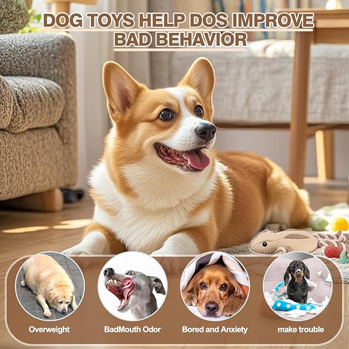 Tough Durable Squeaky Dog Toys for Aggressive chewers Interactive to Keep Them Busy, Funny Plush Dogs Toy for Small Medium Large Chewer Cute Birthday Gift (Frog)