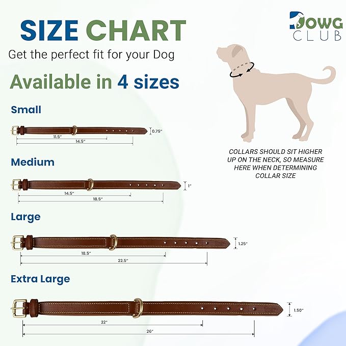 Leather Dog Collar for Extra Large Dogs, 1.5 Inch Wide Red Dog Collar | Genuine, Full Grain, Heavy Duty, Comfortable, Inner Soft Padding | (X-Large (Fit Neck Size 22"-26"), Red)