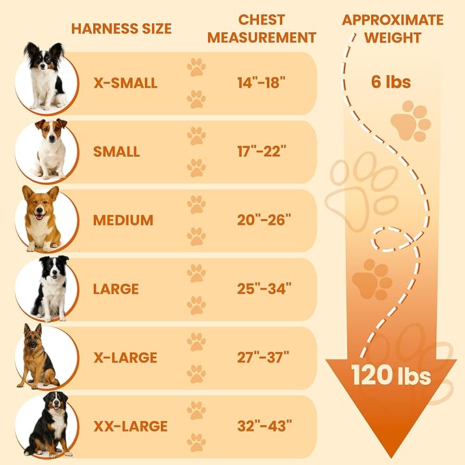Bark Appeal Aqua Blue No-Pull Dog Harness for Medium to Large Sized Pets – Adjustable, Reflective Vest with 3 Leash Clips for Added Control, Easy Walks & Training – Large