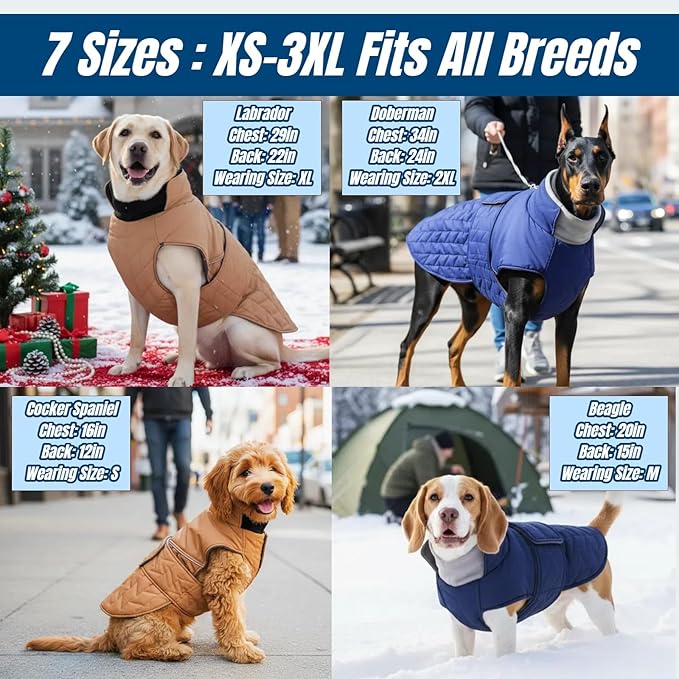 2-Layer Classic Quilted Warmth Dog Winter Coat, Waterproof Outdoor Coats for Small Dogs, Lightweight & Thick Puppy Jacket with Leash Hole, Turtleneck Pet Vest Clothes for Chihuahua Yorkie(Blue, XS)