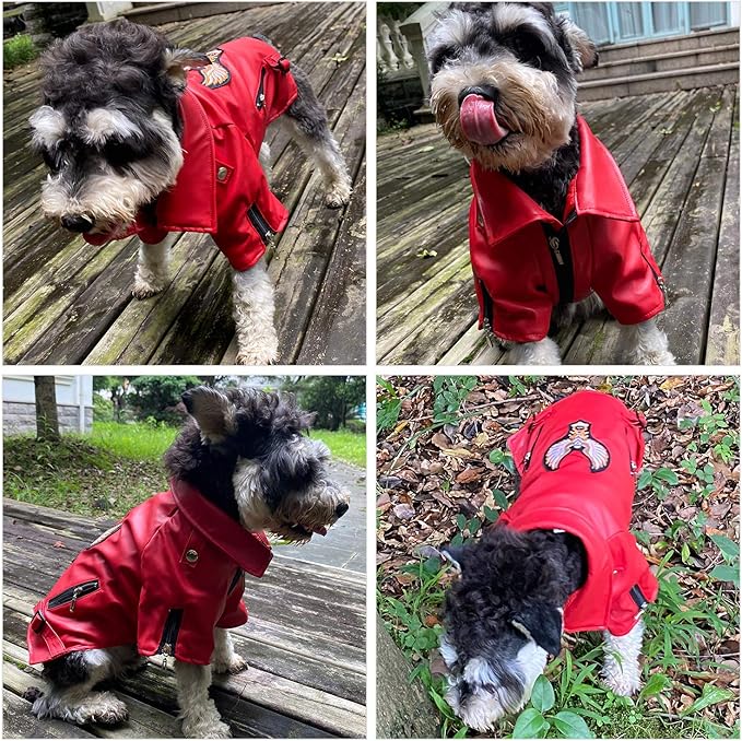 Lovelonglong Cool Dog Leather Jacket, Warm Coats Dogs Windproof Cold Weather Coats for Large Medium Small Dogs with Eagle Embroidery Red S
