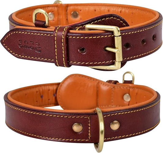 Genuine Leather Dog Collar – Full Grain, Breathable Inner Padding, Padded Buckle – Heavy Duty, Adjustable for Small, Medium, Large & XL Breeds | (X-Large (Fit Neck Size 22"-26"), Dark Brown)