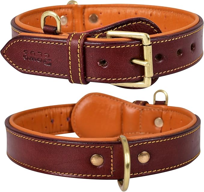 Genuine Leather Dog Collar | Padded, Full Grain, Heavy Duty, Comfortable, Strong | Best for Pups, Small, Medium, Large & XL Breeds (Small (Fit Neck Size 11.5"-14.5"), Dark Brown)