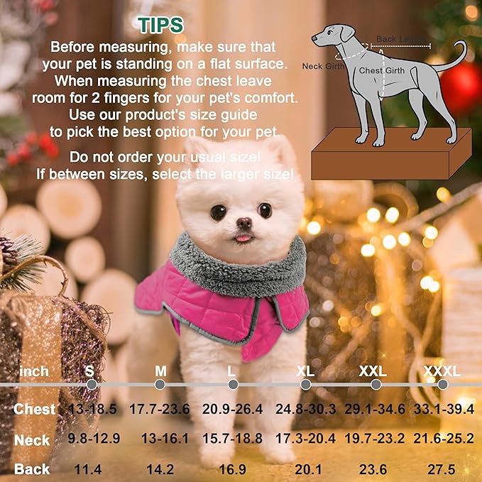 Fragralley Dog Winter Coat, Waterproof Windproof Reflective Fleece Jacket with Harness Hole, Warm Snow Vest for Small Medium Large Dogs, Ideal Gifts