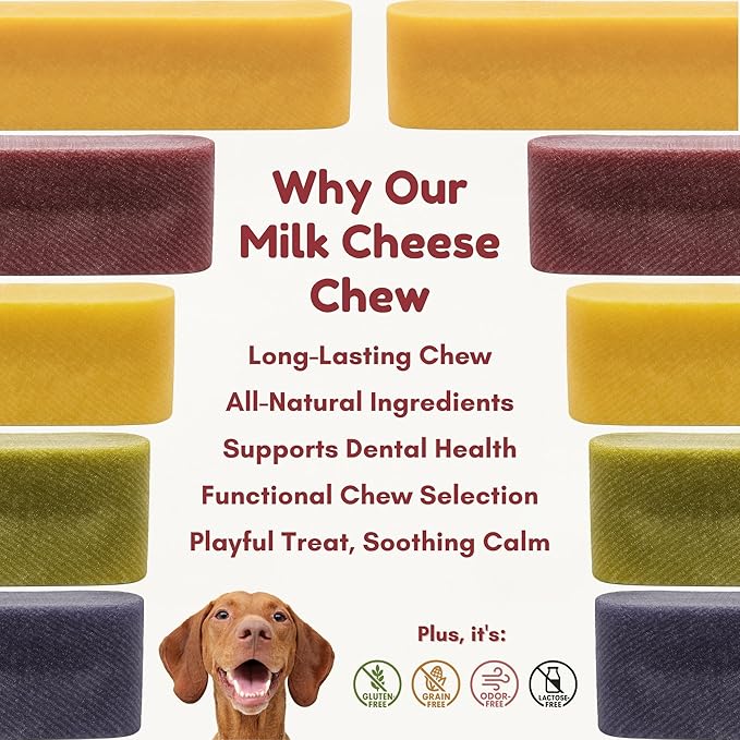 Majestic Pet Himalayan All-Natural Yak Cheese Dog Chews Made with 100% Cows Milk- Long Lasting Dental Chew for Dogs - Healthy Pet Treats (Dental & Bone Support, XL, 1 Pack)