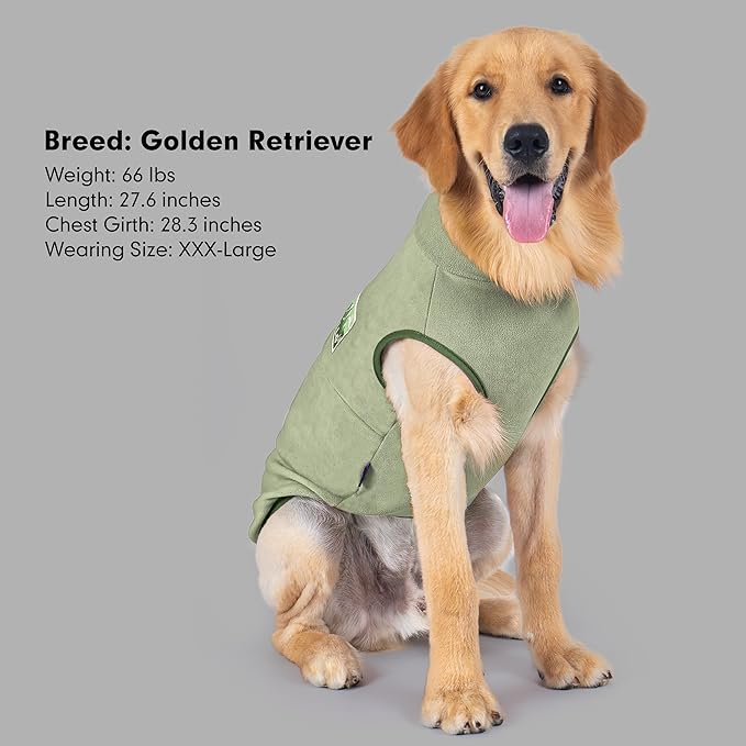 cyeollo Fleece Dog Sweater, Turtleneck Stretchy Sweatshirt Pullover Fleece Jacket Warm Winter Fall Dog Clothes for Medium Dogs Boy Pet Apparel, Green XL