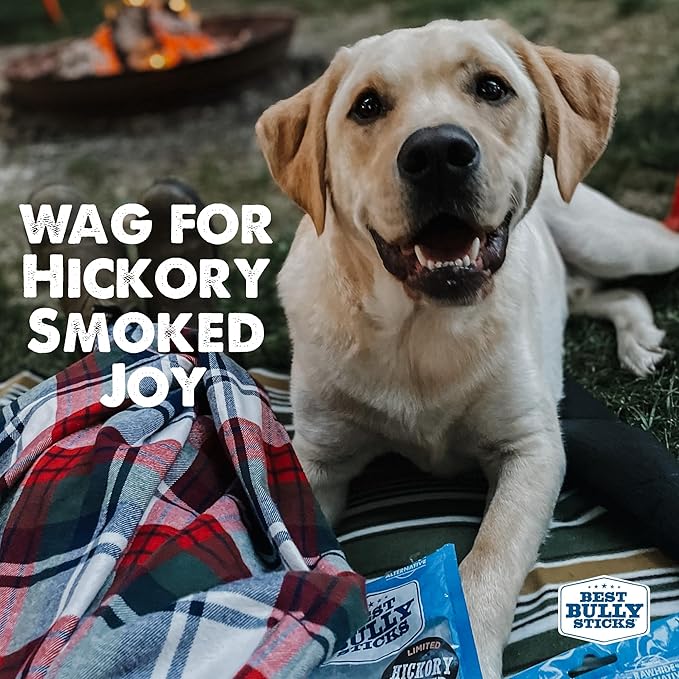 Best Bully Sticks Hickory Smoked Jumbo 6 Inch Bully Sticks - 4 Count (Pack of 1) - Natural, Smoky, Grain and Odor-Free, No Additives
