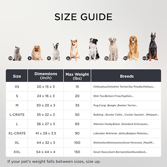 Bedsure Dog Beds Large Sized Dog - Comfy Flat Pet Beds with Removable Washable Cover, Orthopedic Egg Crate Foam Puppy Mat, Suitable for Pet Up to 65 lbs