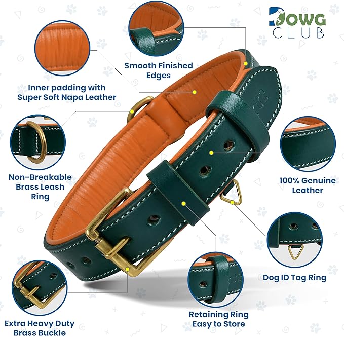 Genuine Leather Dog Collar | Full Grain, Heavy Duty, Comfortable, Padded, Strong | Best for Pups, Small, Medium, Large & XL Breeds (Large (Fit Neck Size 18.5"-22.5"), Teal Green)