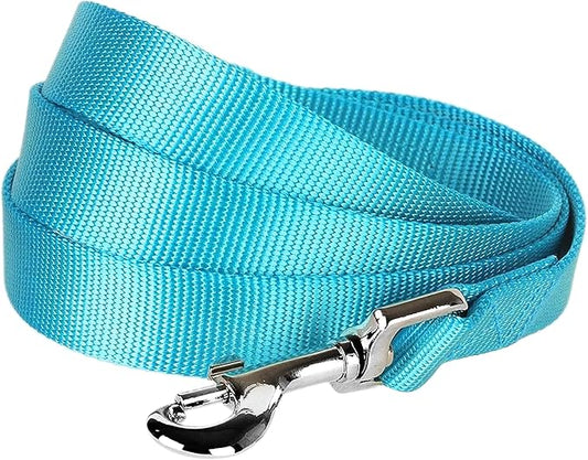 Blueberry Pet Essentials Turquoise Dog Leash for Medium - 5' * 3/4" Dogs | Heavy Duty Nylon Lead | Lightweight Puppy & Cat Leash for Walking & Training