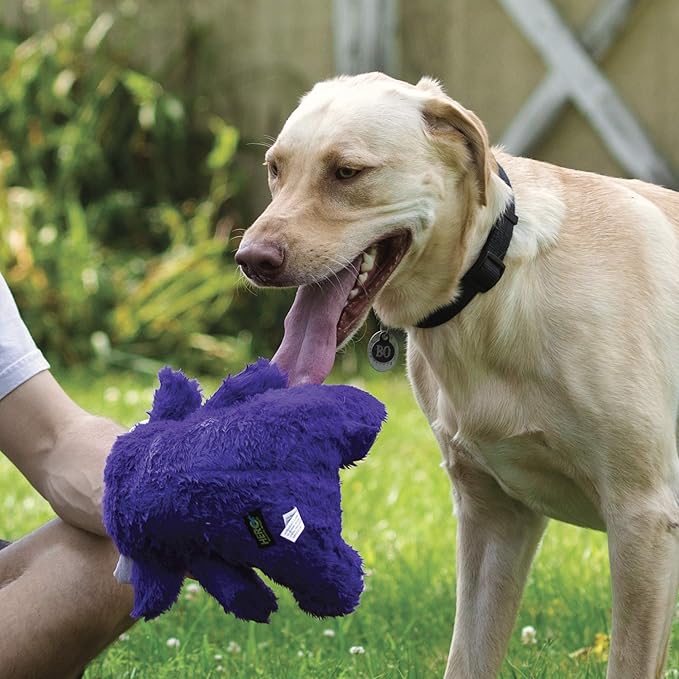 Hero Chuckles, Plush Squeaky Dog Toy, Durable Stuffed Animal with 3 in 1 Squeaker