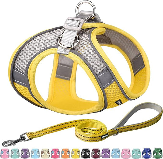 AIITLE Dog Harness, Summer No-Pull Cat Harnesses with a Leash, Adjustable Reflective Puppy Vest, Pet Vest Escape Proof, Outdoor Walking, Camping for Extra Small Dogs and House Cats Yellow XXXS