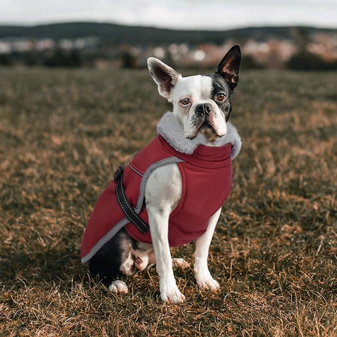 Lelepet Warm Dog Winter Coat Reflective Dog Jacket Fleece Vest Waterproof Windproof Cold Weather Coats with Adjustable Buckle Turtleneck Snowsuit for Small Medium Large Dogs,Rottweiler,Great Dane,XXXL