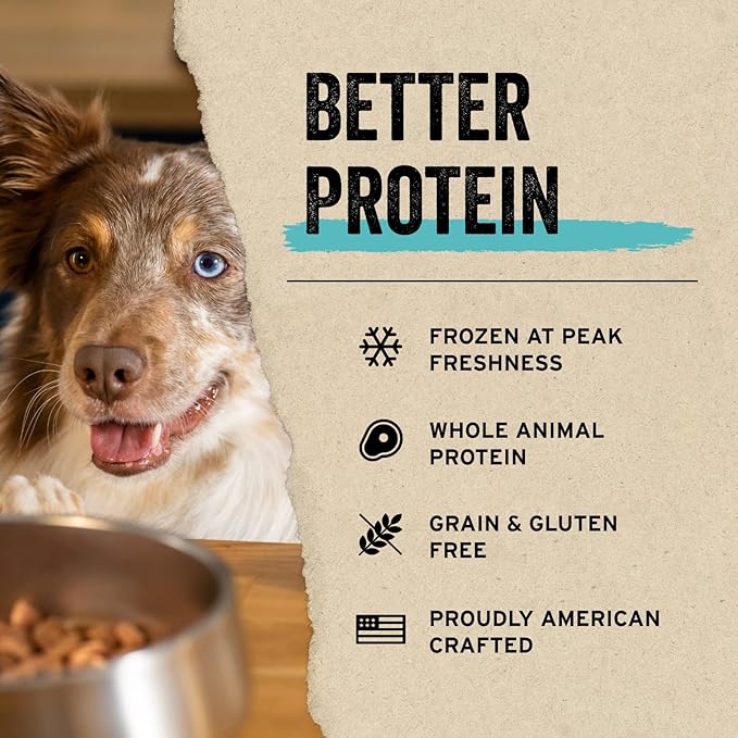 Vital Essentials Freeze Dried Raw Protein Mix-in Dog Food Topper, Salmon Mini Nibs Topper for Dogs, 6 oz