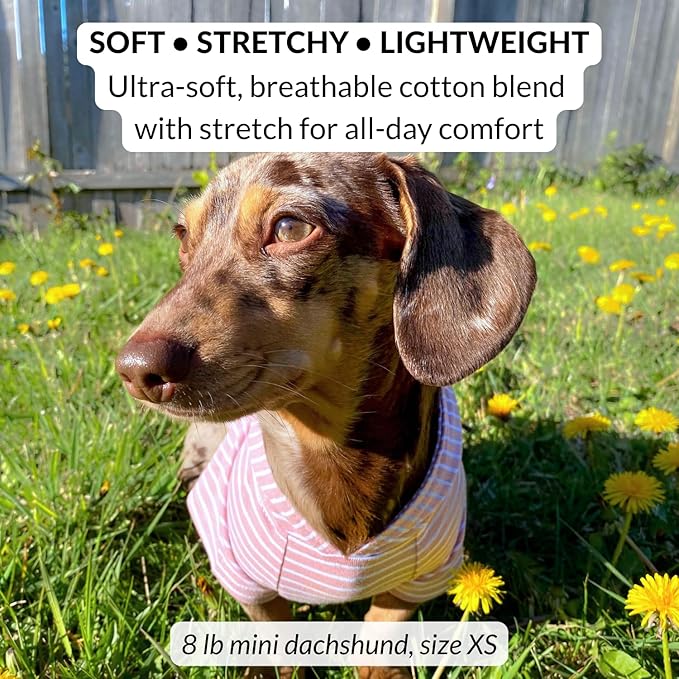 DJANGO Dog Hoodie – Warm, Lightweight, Soft & Stretchy Dog Sweater with Hood, Harness Hole & Elastic Waistband – Cozy Sweatshirt for Small Dogs up to 25 lbs, Dachshunds & Puppies – Blush Pink, Medium