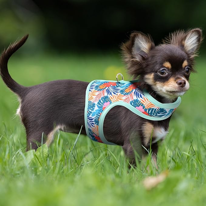 Mile High Life Dog Harness, Air Mesh Floral Vest Harness for 20 lbs Small Dogs & Cats, Easy Get on Adjustable Easy Closures Both Neck and Chest(Green Flower, XS Chest 14"-16")