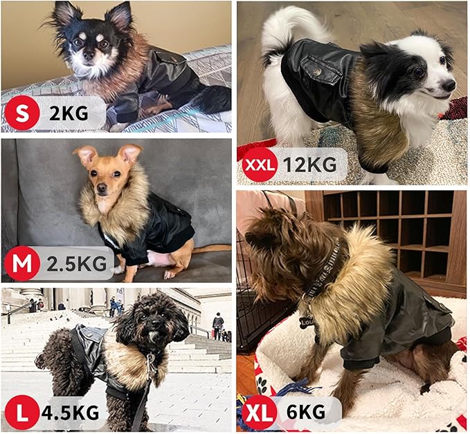PETLESO Dog Coat for Small Dogs, Dog Leather Jacket Waterproof Windproof, Double Layer Warm Dog Winter Coat with Plush Lined, Black XL