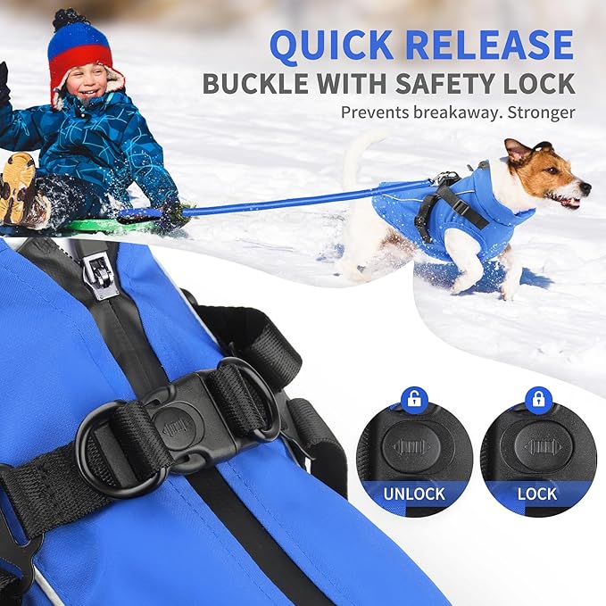 Dog Winter Coat Reflective Water-Resistant Jacket, Fleece Lined Windproof Puppy Coat with Back Zipper & D-Ring, Cold Weather Dog Coats for Small Medium Large Dogs (M,Blue)