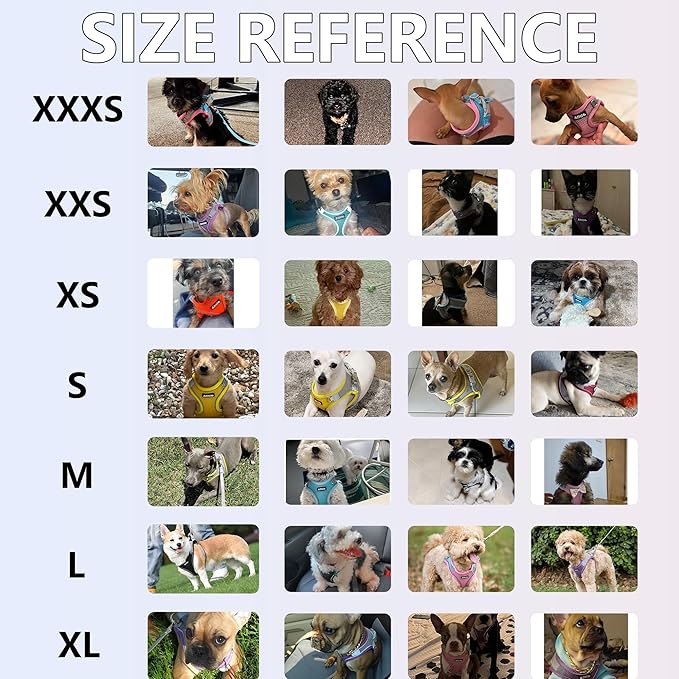 AIITLE Dog Harness, Summer No-Pull Cat Harness with a Leash, Adjustable Reflective Dog Vest, Cat Harness Escape Proof, Outdoor Walking, Camping for Extra Small Dogs and House Cats Hot Pink XXXS