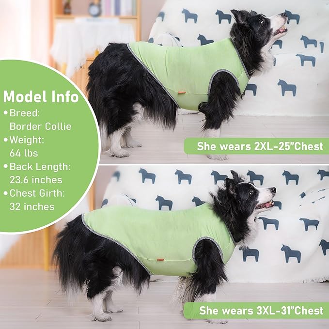 KYEESE 2Pack Dog Shirts Sun Protection Quick Dry Dog T Shirt Stretchy Sleeveless Pet Vest Lightweight Pet Clothes Soft Tank Top with Reflective Label, XXX-Large
