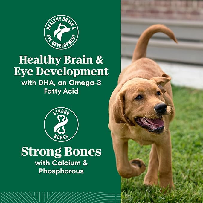 Nutro Natural Choice Chicken & Brown Rice Puppy Food Dry Recipe, 13 lb. Bag