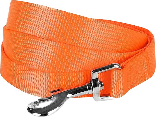Blueberry Pet Essentials Florence Orange Dog Leash for Medium - 5' * 3/4" Dogs | Heavy Duty Nylon Lead | Lightweight Puppy & Cat Leash for Walking & Training